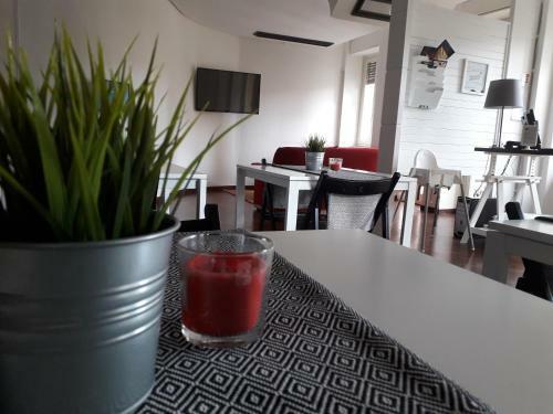 B&B Zamm�