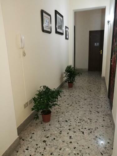 Arco Di Trionfo Palermo Bed & Breakfast