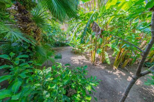Apartamento Rentopolis Villa Mezzarancia