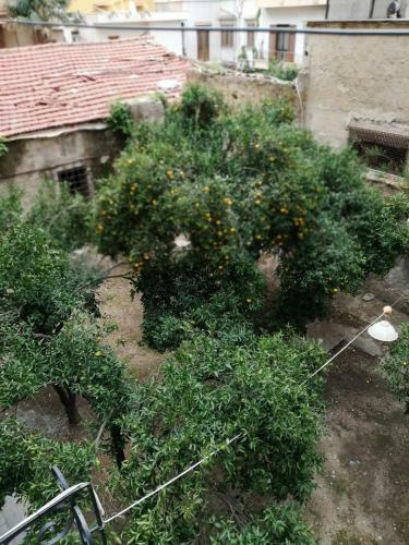 Bed & Breakfast Amaranta
