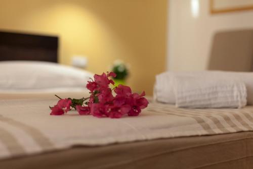 Bed & Breakfast Piazza Marina