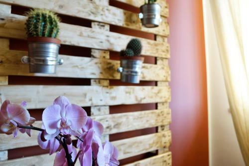 Bed & Breakfast Piazza Marina