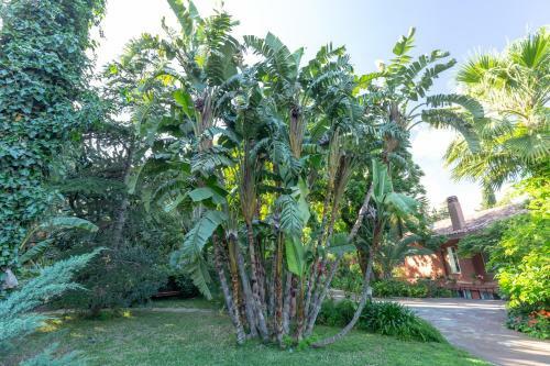 Villa Domus Sicily - Il Giardino Di Michela