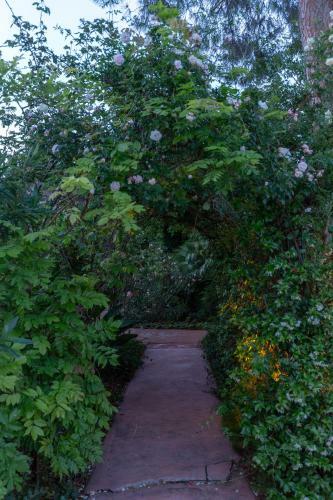 Villa Domus Sicily - Il Giardino Di Michela