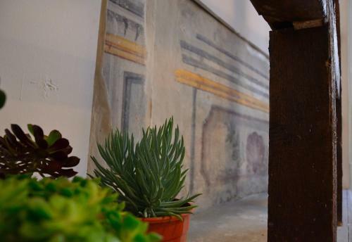 Bed & Breakfast Pal Art Rooms & Suite