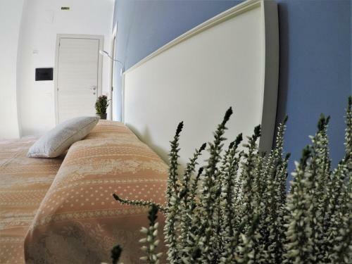 Bed & Breakfast I Vicini Della Cattedrale