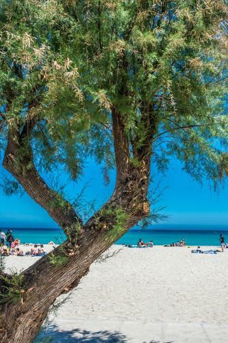 Apartamento Casa Con Terrazza Sul Mare All'addaura