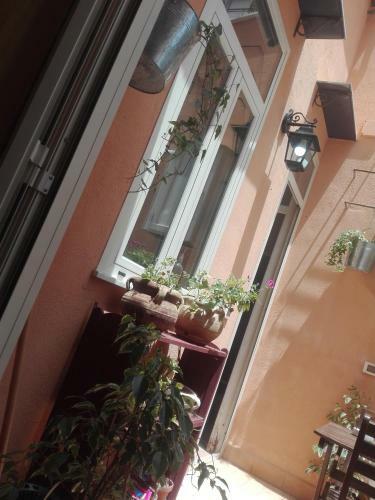 Runful�a Apartment