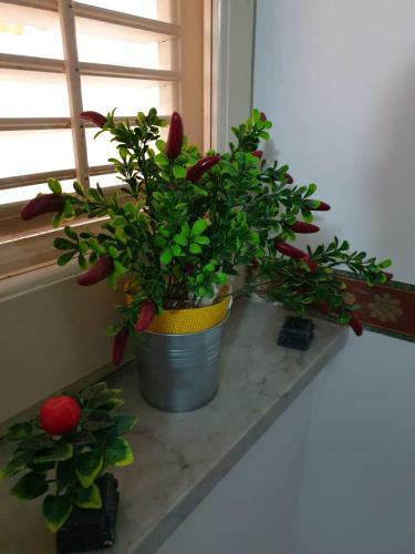 Bed & Breakfast Alba Central City