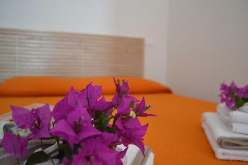 Bed & Breakfast Horizon Pantelleria