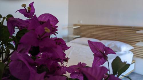 Bed & Breakfast Horizon Pantelleria