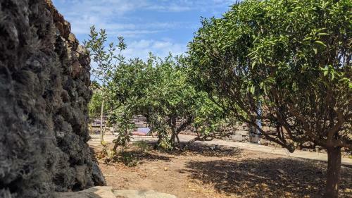 Bed & Breakfast Horizon Pantelleria
