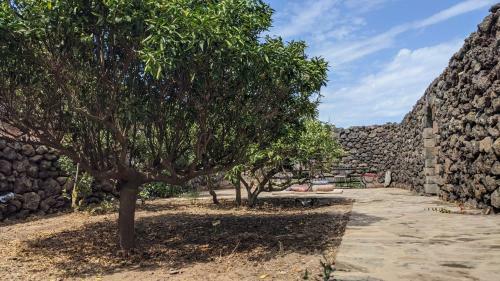 Bed & Breakfast Horizon Pantelleria