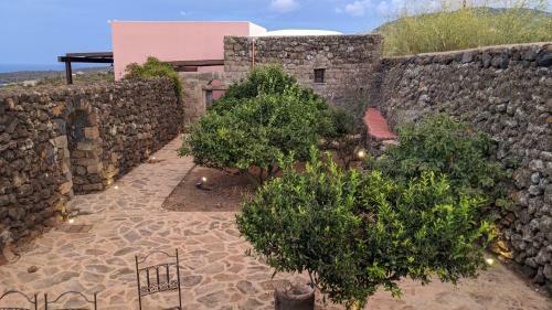 Bed & Breakfast Horizon Pantelleria