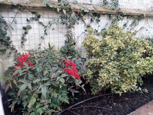 Apartamento B&B Palazzo Bianchi