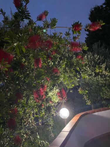 Apartamento Appartamenti Michelino