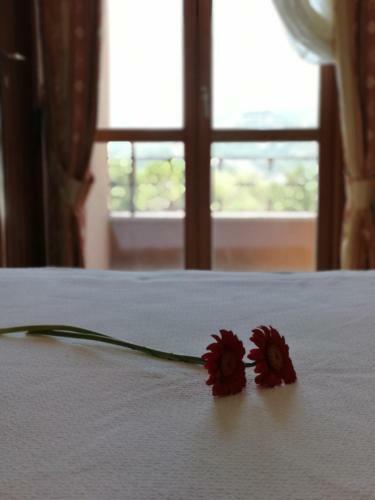 Hotel Balcone Sul Metauro