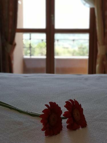 Hotel Balcone Sul Metauro