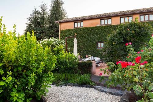 Cozzarelle Villa Sleeps 8 With Pool And Wifi