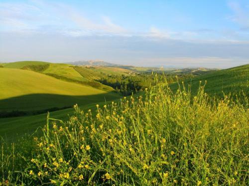 Countryside Apartment In Peccioli With Barbecue