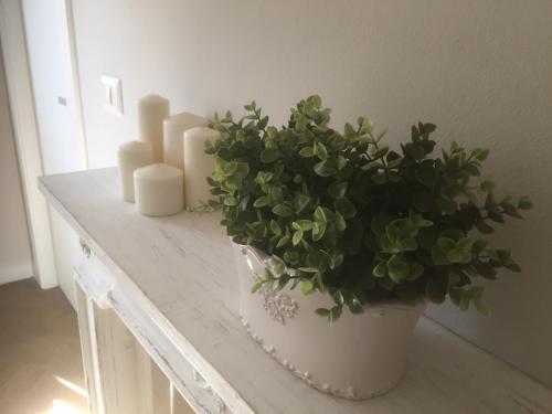 Apartamento Casa Garibaldi 41