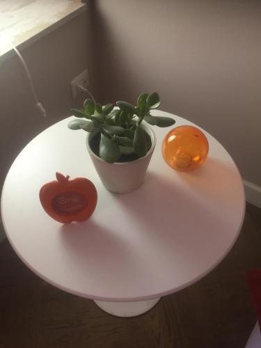 Apartamento Casa Garibaldi 41