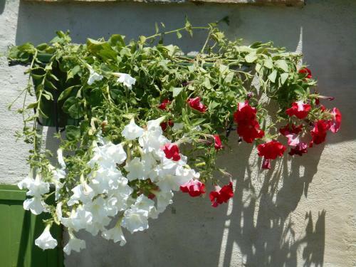 Agroturismo Casal Ferriano