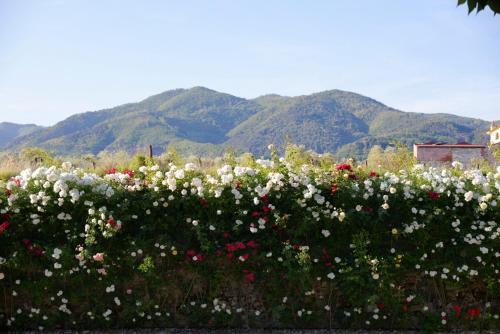 San Colombano Villa Sleeps 22 With Pool And Air Con