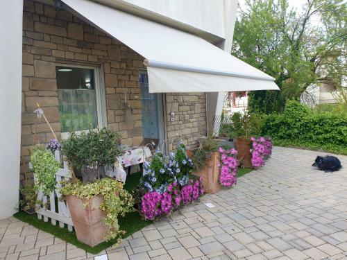 Apartamento Appartamento Suite Joy