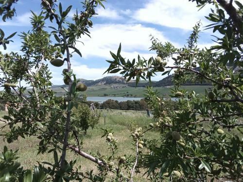 Bed & Breakfast Week End Sul Lago