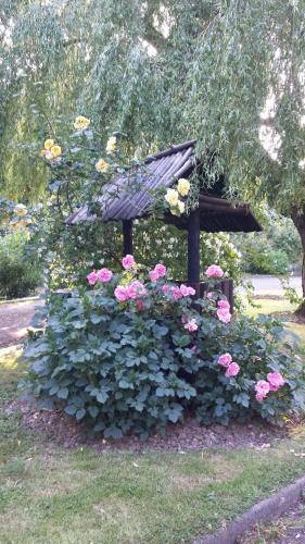 Bed & Breakfast Riverfield Farmhouse
