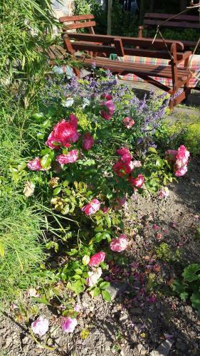 Bed & Breakfast Riverfield Farmhouse