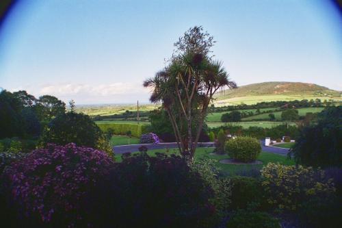 Bed & Breakfast Hillside House