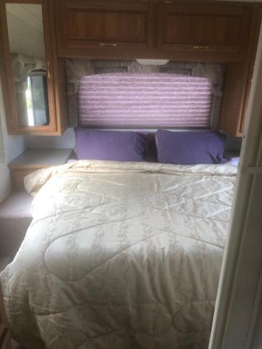 Hostal Douglasha House