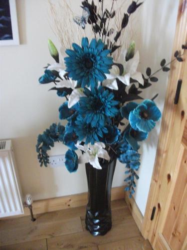 Hostal Clare Street B&B