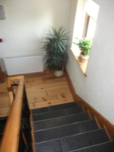 Hostal Clare Street B&B