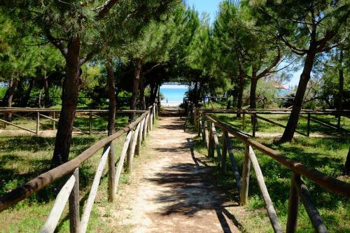 Apartamento Gardenia Pineto Vacanza