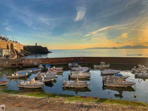 Hostal Piombino 1428