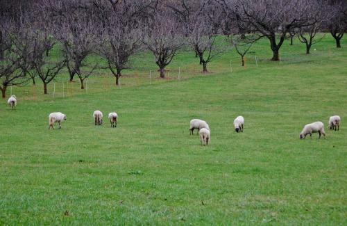 Albergue Parco Di San Floriano