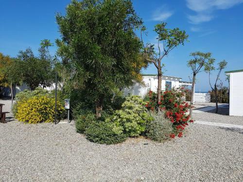 Village Camping Aquarius