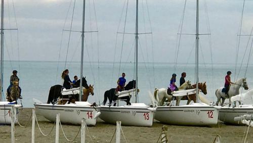 Village Camping Aquarius