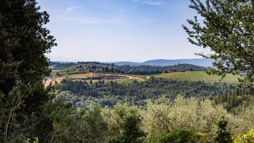 Villa Tenuta Di Macericca 10