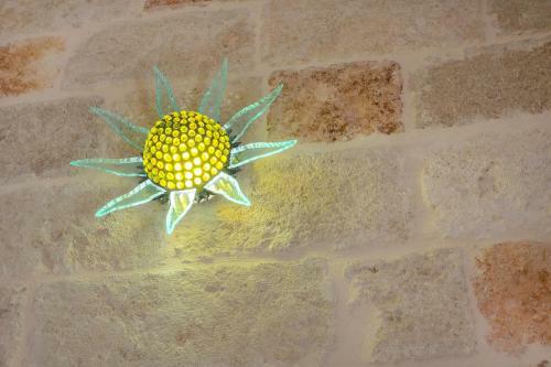 Hostal Dimora Cavour