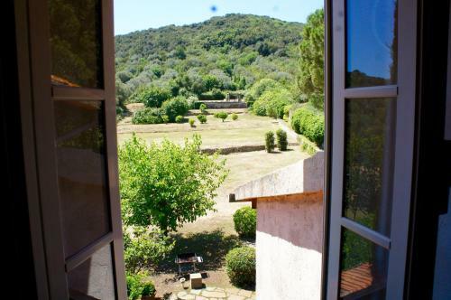 Villa L'uliveto