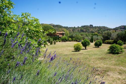 Villa L'uliveto