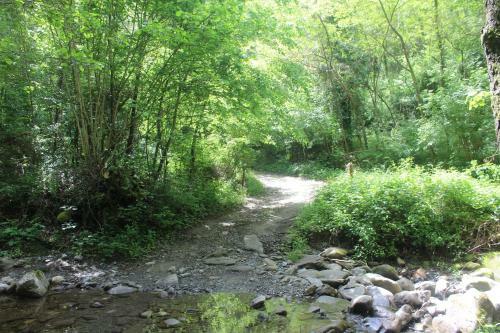 Agroturismo Societa' Agricola Lambure Srl