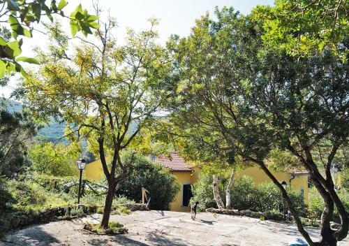 Apartamento Le Maree Sansone Sul Mare