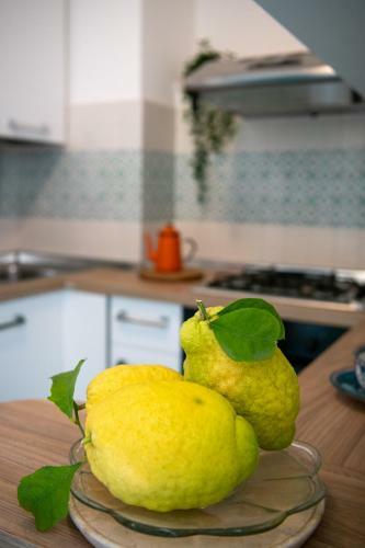 Apartamento Casa Gilda