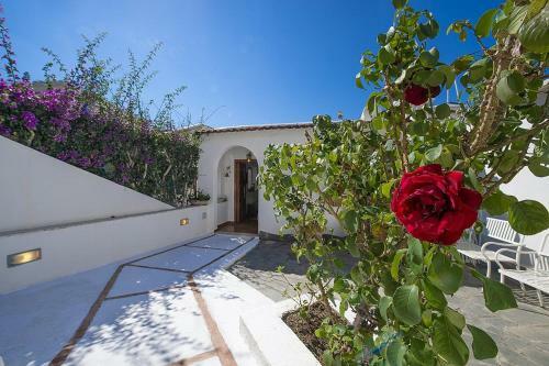 Praiano Villa Sleeps 6 Wifi