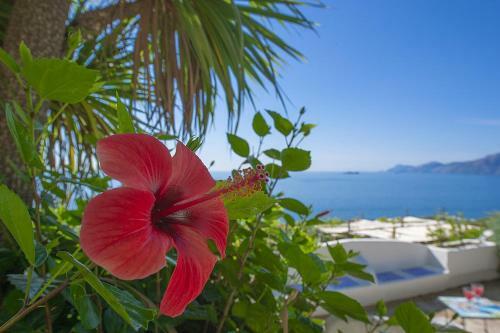 Praiano Villa Sleeps 6 Wifi